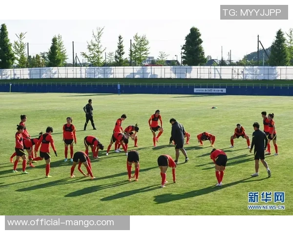 足球牵羊的奇妙旅程探索运动与艺术的完美结合